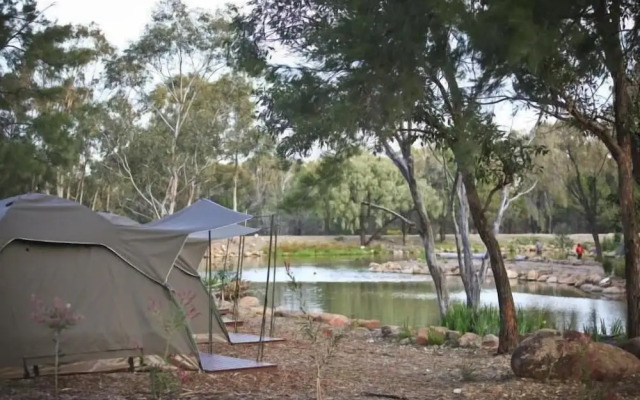 Billabong Camp, Taronga Western Plains Zoo