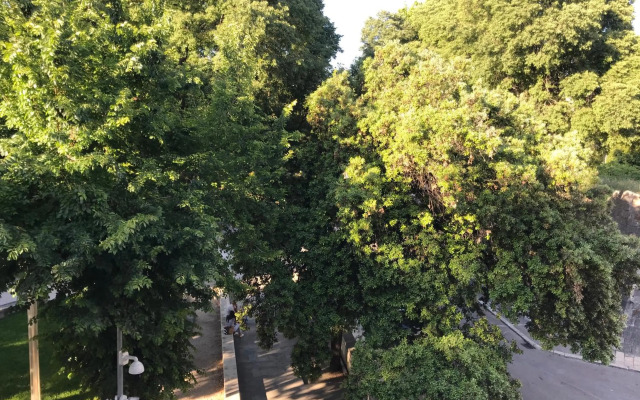 Central Park Residence