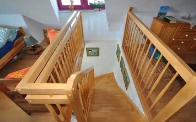 Red-throated Diver Modern Retreat