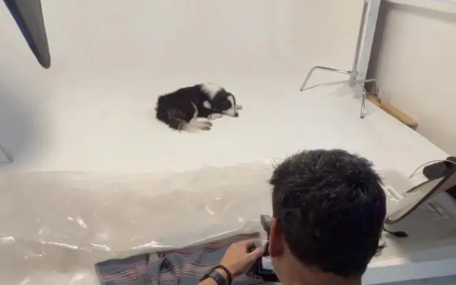 Azul Photo Studio & Apartment