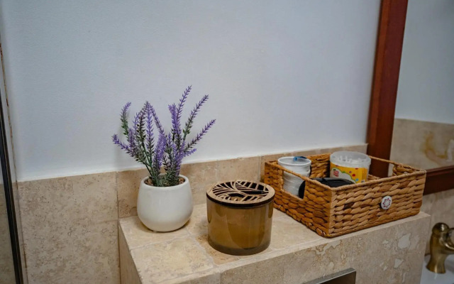 Apartamentul Cetății Alba Iulia