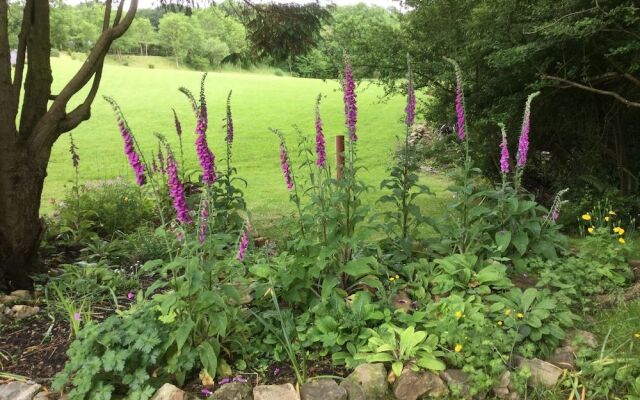 Pen-y-Bont Guest House