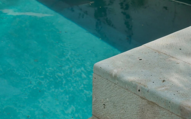 Casa Verde Alberca Jardin Diseno Ubicacion AC