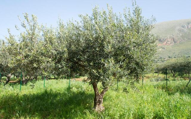 I Segreti Di Antonina