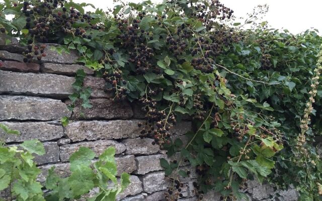 Gammalsbygårdens Gästgiveri