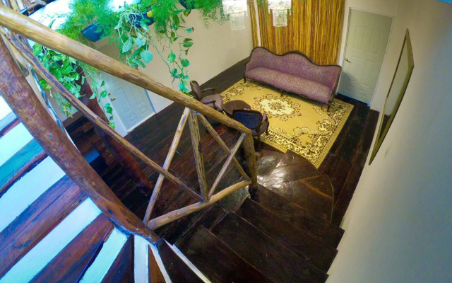 Morada Maya