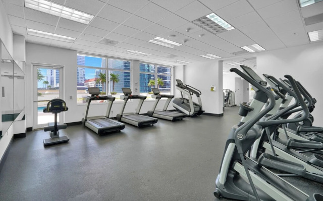 Zeus Sanctuary in Brickell Miami