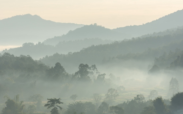 Camp Cayla - Stellar