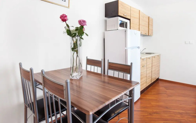 Apartment House Zizkov