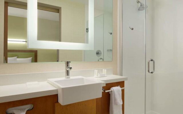 SpringHill Suites Tuscaloosa