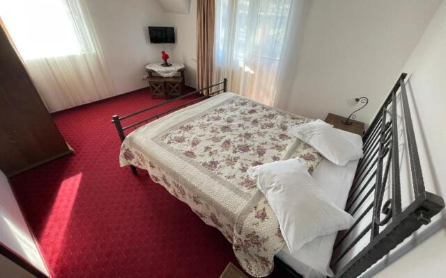 Vila Valea Sohodolului