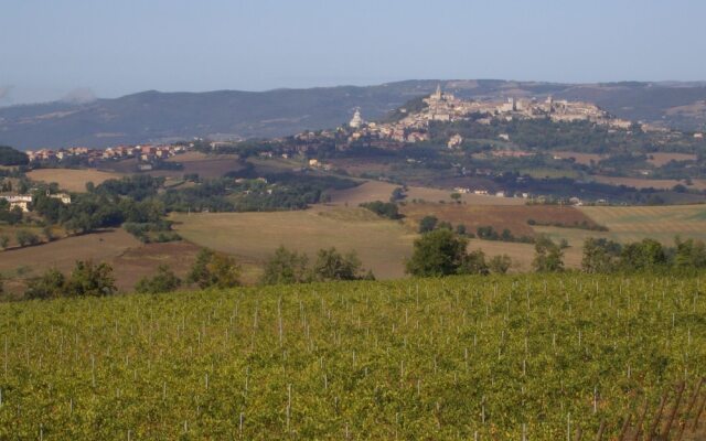 Il Cardo