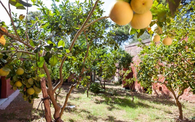 Agriturismo Tibitone