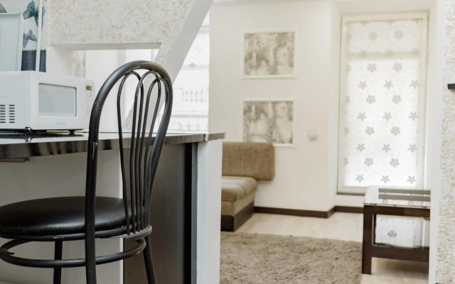 Transitional Havryky Apartment