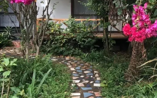 Hare Vaikapua