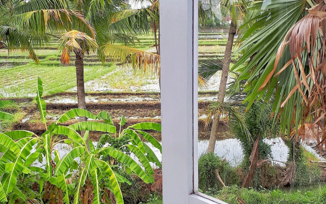 The Swell - Hostel - Adults Only