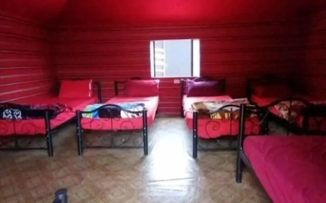 Bedouin habits tours camp