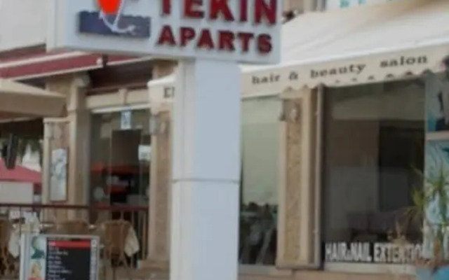 Tekin Aparts