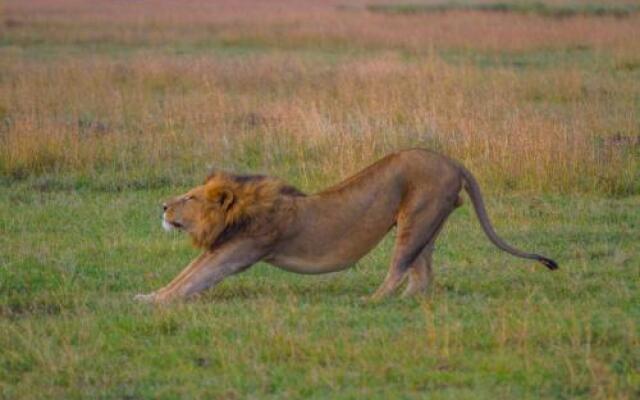 Ol Pejeta Mansion