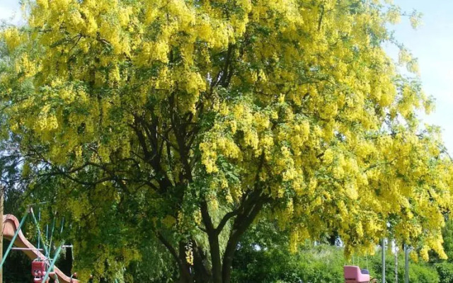 Agroturystyka Chłopy