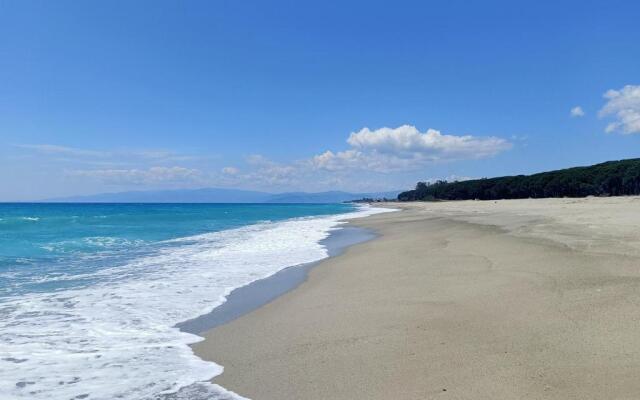 Beach house in the green