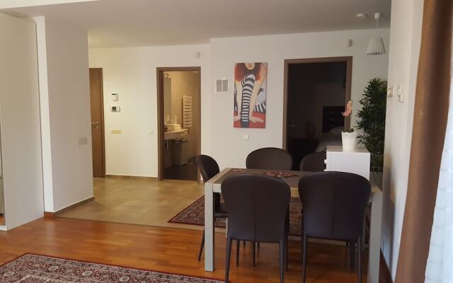 Bellevue Apartment Brasov