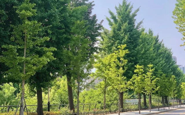 cozybnb.seoul.youjinhouse