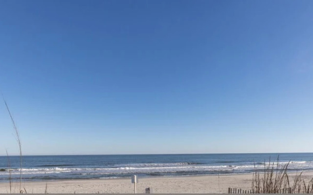 Dune Lane - Sandpiper