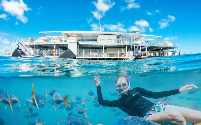 Reefsleep