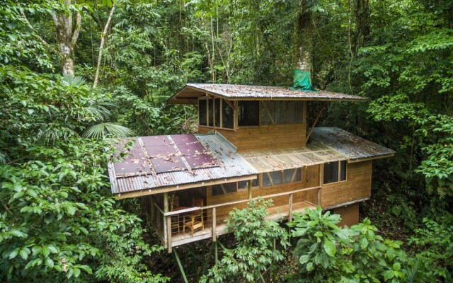 Finca Bellavista Treehouse Community