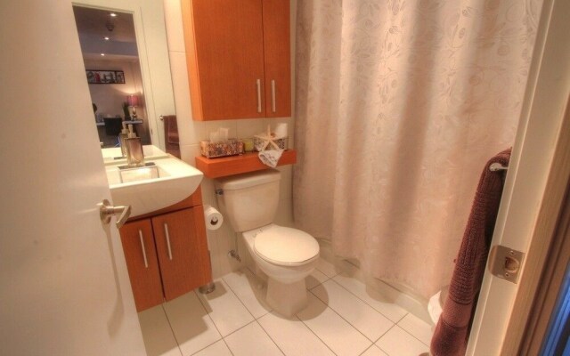 Luxury Downtown Water Front Condo