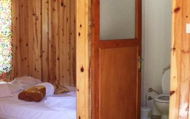 Jungle Bells Hostel