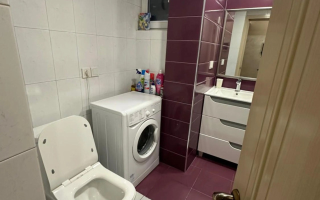 Comfortable apartment in center