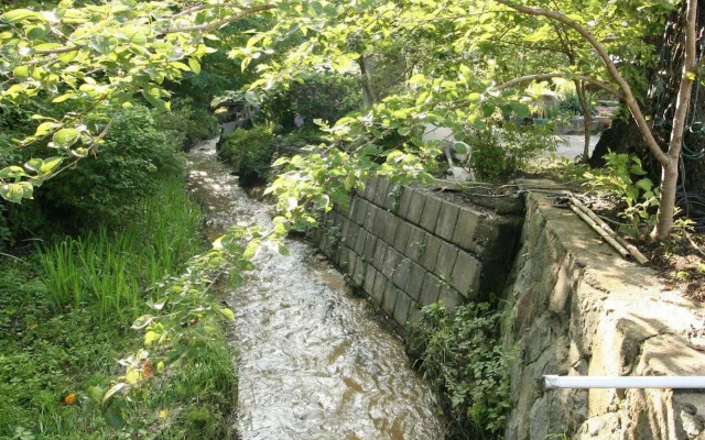 Nakaoyama Onsen Shosenkaku