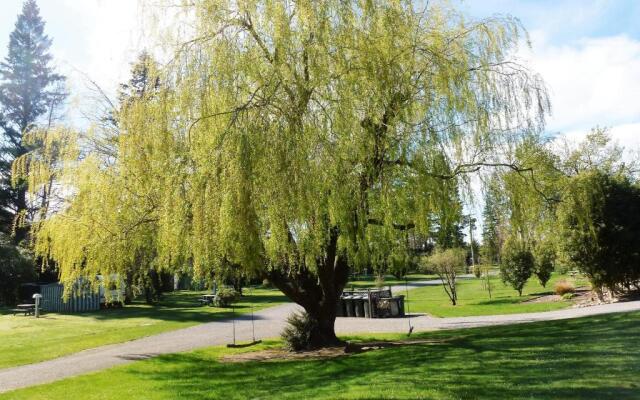 Ashley Gorge Holiday Park