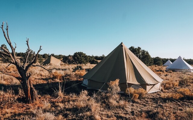Wander Camp Grand Canyon