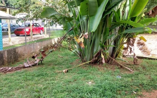 Confort Y Relajacion