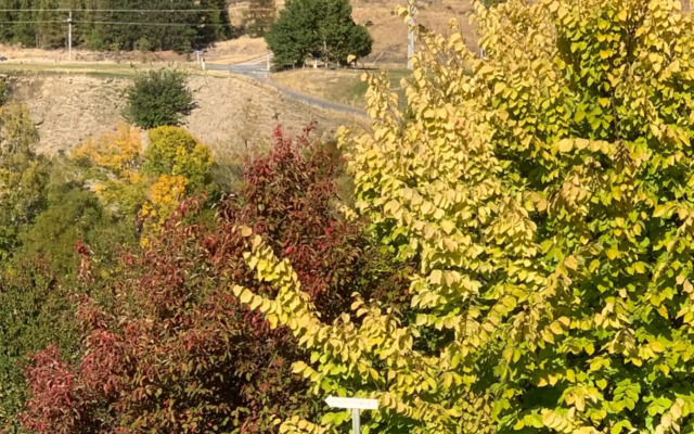 The Prospector on Miners