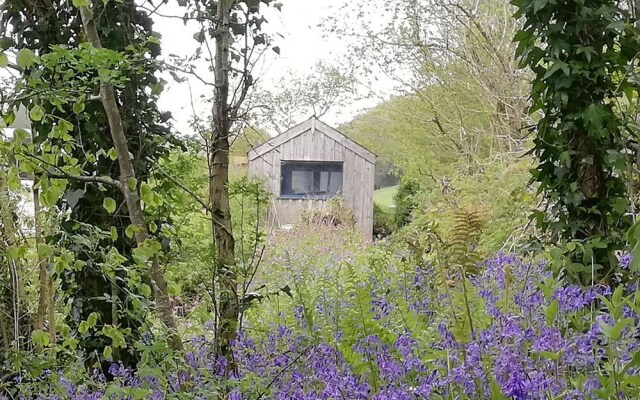 Writing Shed Wales