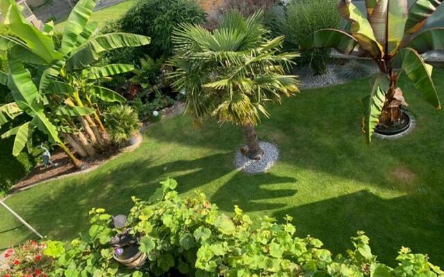 Comfort Apartment Buchhorn