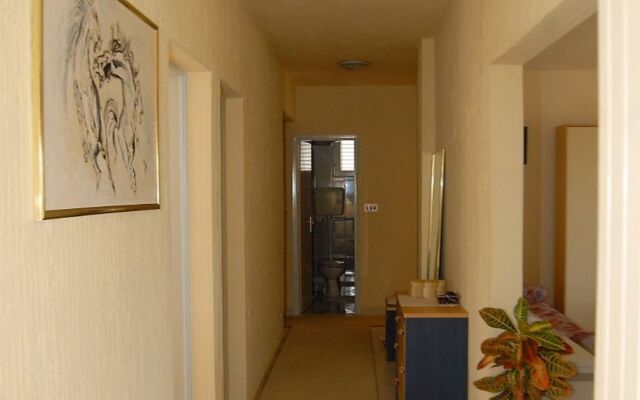 Apartment Ante - with large terrace : A1 Primosten, Riviera Sibenik