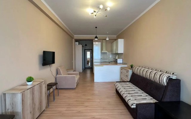 Апартаменты на улице Плеханова 53/16