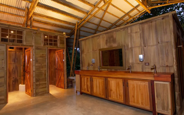 La Cotinga Biological Station