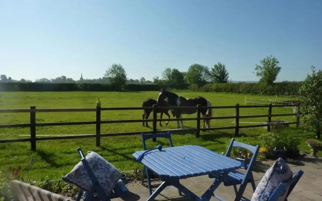 The Paddock at Peacock Farm