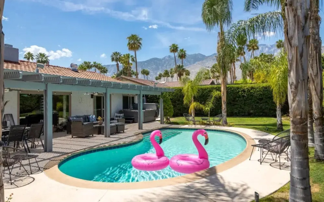 Palm Springs Paradise