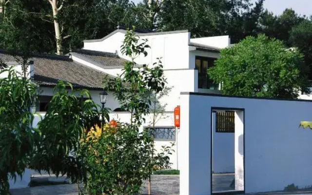 A Tree Hostel