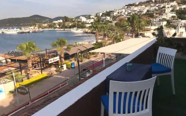 Apartment 2 Bedrooms in Turkbuku 2