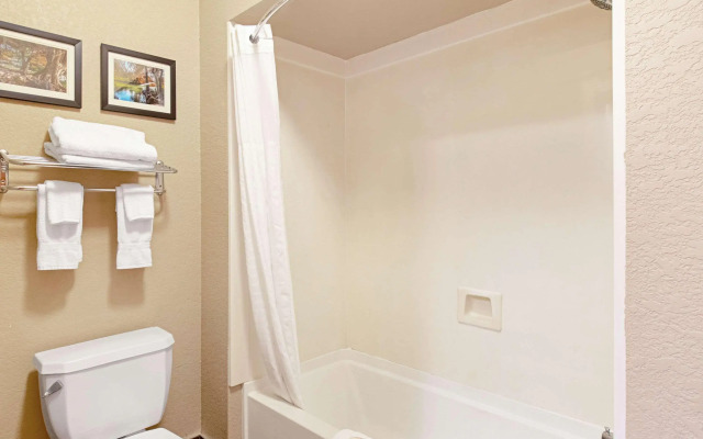Comfort Inn and Suites Fredericksburg