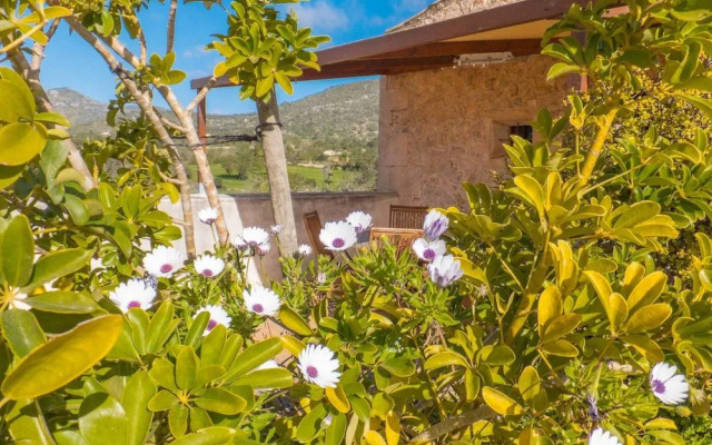 Finca Ses Cases Noves