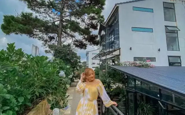 The Kupid - Dalat No Single